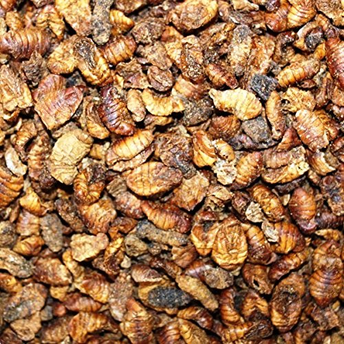 Seidenraupen 5 Ltr. Fischfutter für Erwachsene Fischbesitzer Seidenraupen 5 Ltr. Fischfutter für Erwachsene Fischbesitzer von FutterXL