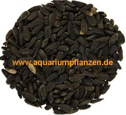5 kg Schwarze Sonnenblumenkerne, Vogelfutter 5 kg Schwarze Sonnenblumenkerne, Vogelfutter von FutterXL