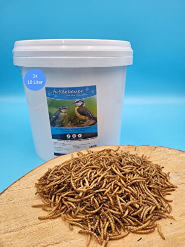 10 Liter Futterbauer Mehlwürmer im praktischen Eimer von Futterbauer