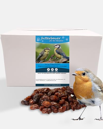 Futterbauer Futterrosinen 10 kg, Energiereiche Rosinen für Wildvögel, schnabelgerechte Happen, staubfrei & naturbelassen von Futterbauer