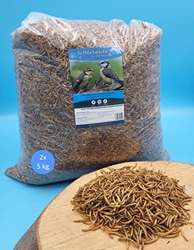 10 kg Mehlwürmer Futterbauer Futter für Vögel Fische Nager Reptilien Igel von Futterbauer