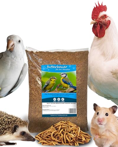 1kg Futterbauer Soldatenfliegenlarven Vogelfutter Nagerfutter wie Mehlwürmer von Futterbauer