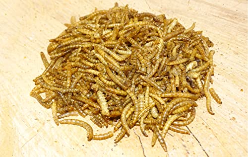 5 kg Mehlwürmer getrocknet Vogelfutter Fischfutter Igelfutter Nagerfutter von Futterbauer