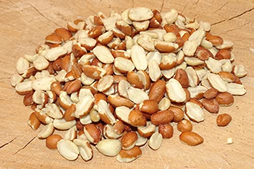 10 kg Erdnüsse Erdnusskerne teilblanchiert Vogelfutter Winterfutter von Futterbauer von Futterbauer