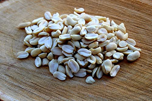 Futterbauer 10 kg Erdnüsse weiß blanchiert ohne Schale/ohne Haut von Futterbauer