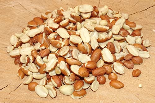 Futterbauer 25 kg Erdnüsse teilblanchiert Erdnußkerne Vogelfutter ganze halbe Nüsse Vogelfutter von Futterbauer
