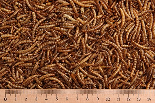(Grundpreis 13,50 Euro/kg) - 5 kg Mehlwürmer getrocknet, Reptilienfutter, Nager von Futtertiere getrocknet
