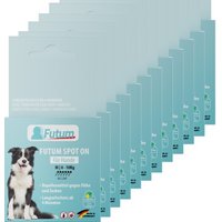 Futum Spot On (6x1,2ml) für Hunde von Futum