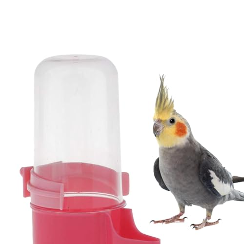 Fuuxtci Futterautomat Für Vögel,200ml Vogeltränke Zur Selbstversorgung - Vogelbrunnen Lässt Sich Leicht Am Käfig Für Sittiche, Kanarienvögel Oder Ähnliche Kleine Vögel Befestigen Fuuxtci Futterautomat Für Vögel,200ml Vogeltränke Zur Selbstversorgung - Vogelbrunnen Lässt Sich Leicht Am Käfig Für Sittiche, Kanarienvögel Oder Ähnliche Kleine Vögel Befestigen von Fuuxtci