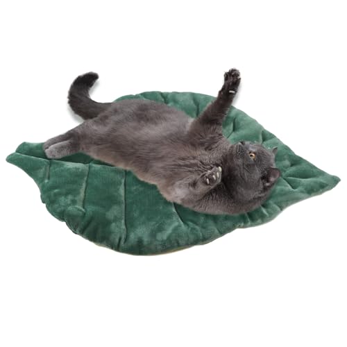 Fuuxtci Katzenbett Matte | Baumwoll Katzenmatte Kleines Haustierbett Kissen,Waschbare Unterlage mit Rutschfester Unterseite für Innen Außen Boden Auto Sitzbox Kiste Welpe Kätzchen Hund Haustier Fuuxtci Katzenbett Matte | Baumwoll Katzenmatte Kleines Haustierbett Kissen,Waschbare Unterlage mit Rutschfester Unterseite für Innen Außen Boden Auto Sitzbox Kiste Welpe Kätzchen Hund Haustier von Fuuxtci