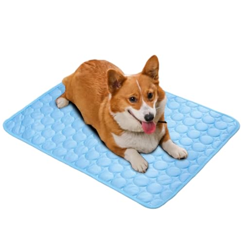 Kühlmatte Für Hunde Hundematte Bett Kühldecke Kühlkissen Für Katzen Waschbar Haustiere, rutschfest & Vielseitig Einsetzbar Für Zuhause, Unterwegs & Im Auto Kühlmatte Für Hunde Hundematte Bett Kühldecke Kühlkissen Für Katzen Waschbar Haustiere, rutschfest & Vielseitig Einsetzbar Für Zuhause, Unterwegs & Im Auto von Fuuxtci