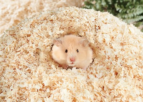 Fuwok Sägemehl-Hamster, Kleintier-Sägemehl, Kaninchenholzspäne, Hamster-Bettwäsche – Späne, Haustierbedarf, Bettwäsche für Hamster, Chinchillas, Reptilien, Chinchillas, Kleintiere usw Fuwok Sägemehl-Hamster, Kleintier-Sägemehl, Kaninchenholzspäne, Hamster-Bettwäsche – Späne, Haustierbedarf, Bettwäsche für Hamster, Chinchillas, Reptilien, Chinchillas, Kleintiere usw von Fuwok