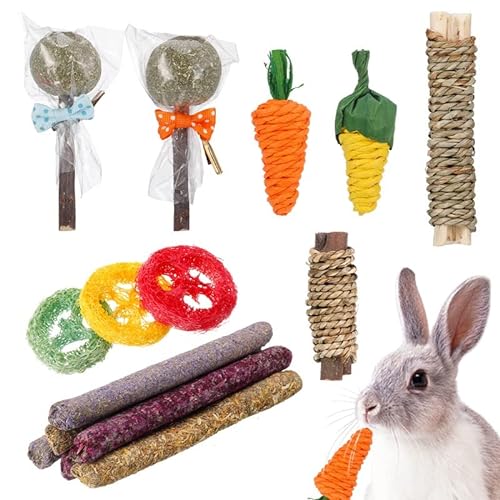 Fuyamp 15 Stück Spielzeug Kaninchen, Spielzeug für Kaninchen, Kauspielzeug für kleine Tiere, Zubehör für Kaninchen zum Kauen von Meerschweinchen, Hamster, Chinchilla, Rennmäuse von Fuyamp