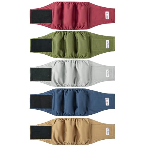 Windeln für männliche Hunde, waschbar, wiederverwendbar, hochabsorbierend, für Jungen, Bauchbänder, Höschen, Hunde, Welpen, , Töpfchentraining, Inkontinenzmarkierung, Größe L, 5 Stück Windeln für männliche Hunde, waschbar, wiederverwendbar, hochabsorbierend, für Jungen, Bauchbänder, Höschen, Hunde, Welpen, , Töpfchentraining, Inkontinenzmarkierung, Größe L, 5 Stück von Fuz Bigaza