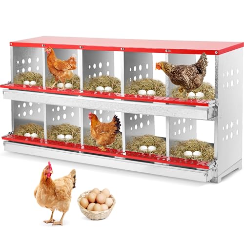 FuzzlyCo Hühner Nistkasten 10 Fächer Nistkästen für Hühner mit Easy Egg Collection Roll Away Heavy Duty Hühnerstall Legebox für Hühner FuzzlyCo Hühner Nistkasten 10 Fächer Nistkästen für Hühner mit Easy Egg Collection Roll Away Heavy Duty Hühnerstall Legebox für Hühner von FuzzlyCo