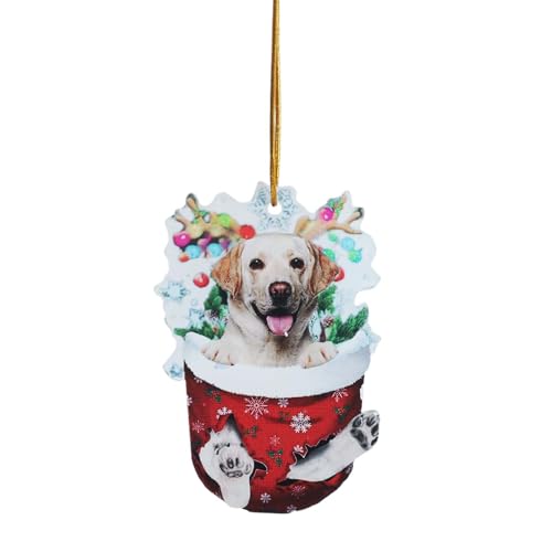 1pc Weihnachten Acryl Weihnachten Strümpfe Für Hunde Dekorationen Dekorationen Handwerk Hängen ​​ Wandspiegel Dekorativ​​ (B, One Size) von Fycakly