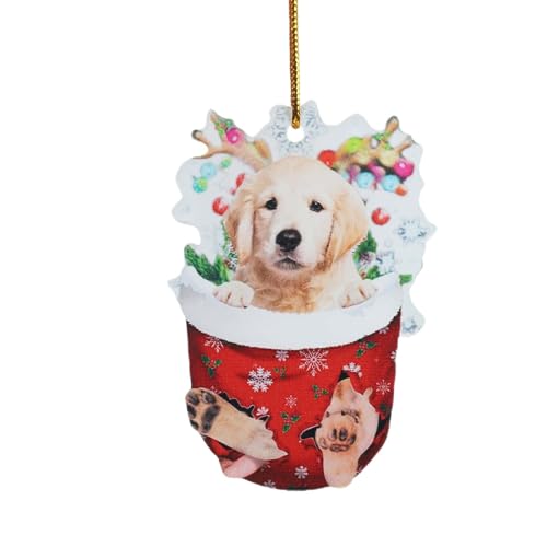 1pc Weihnachten Acryl Weihnachten Strümpfe Für Hunde Dekorationen Dekorationen Handwerk Hängen ​​ Wandspiegel Dekorativ​​ (E, One Size) von Fycakly