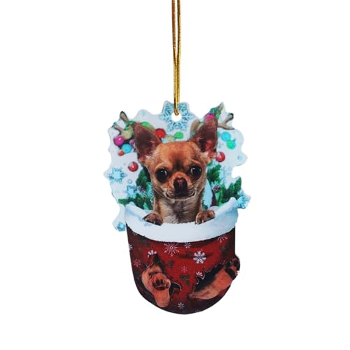 1pc Weihnachten Acryl Weihnachten Strümpfe Für Hunde Dekorationen Dekorationen Handwerk Hängen ​​ Wandspiegel Dekorativ​​ (F, One Size) von Fycakly