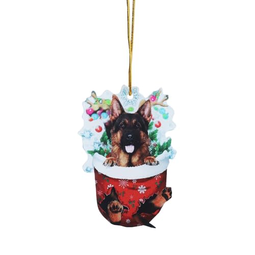 1pc Weihnachten Acryl Weihnachten Strümpfe Für Hunde Dekorationen Dekorationen Handwerk Hängen ​​ Wandspiegel Dekorativ​​ (G, One Size) von Fycakly