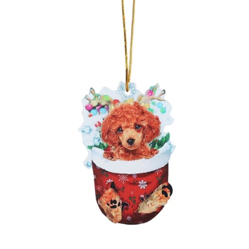 1pc Weihnachten Acryl Weihnachten Strümpfe Für Hunde Dekorationen Dekorationen Handwerk Hängen ​​ Wandspiegel Dekorativ​​ (H, One Size) von Fycakly