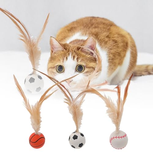 Fycakly Elastisches Sport-Katzenspielzeug, Haustier, elastisch, zum Werfen, interaktiv Reisespielzeug Haustiere (Khaki, 3x18cm) von Fycakly