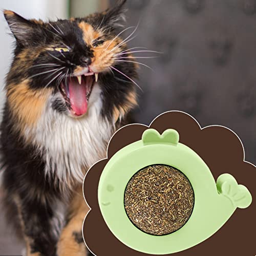 Fycakly Katzenspielzeug für Katzen, Selbstklebender Katzenwandball, drehbar, Spielbälle für Katzen, natürliches Katzenspielzeug zum Reinigen der Zähne Interaktives Haustierspielzeug (Green, One Size) Fycakly Katzenspielzeug für Katzen, Selbstklebender Katzenwandball, drehbar, Spielbälle für Katzen, natürliches Katzenspielzeug zum Reinigen der Zähne Interaktives Haustierspielzeug (Green, One Size) von Fycakly