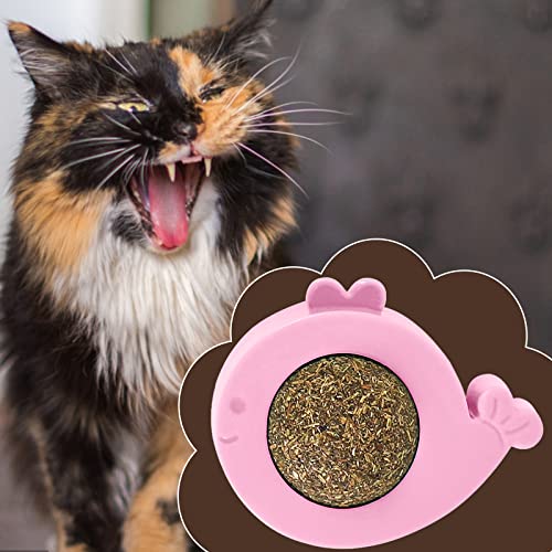 Fycakly Katzenspielzeug für Katzen, Selbstklebender Katzenwandball, drehbar, Spielbälle für Katzen, natürliches Katzenspielzeug zum Reinigen der Zähne Interaktives Haustierspielzeug (One Size) von Fycakly
