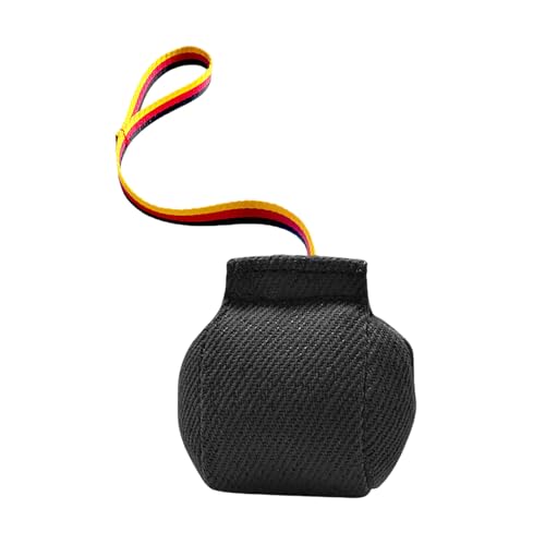 Fycakly Kauspielzeug Hund Unzerstörbar Hunde-Zerrspielzeug, interaktives Hundekissen für das Training Kleiner und mittelgroßer Hunde (Black, 13x13cm) von Fycakly