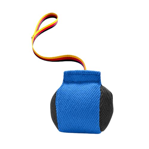 Fycakly Kauspielzeug Hund Unzerstörbar Hunde-Zerrspielzeug, interaktives Hundekissen für das Training Kleiner und mittelgroßer Hunde (Blue, 13x13cm) von Fycakly