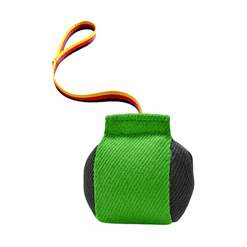 Fycakly Kauspielzeug Hund Unzerstörbar Hunde-Zerrspielzeug, interaktives Hundekissen für das Training Kleiner und mittelgroßer Hunde (Green, 13x13cm) von Fycakly