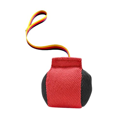 Fycakly Kauspielzeug Hund Unzerstörbar Hunde-Zerrspielzeug, interaktives Hundekissen für das Training Kleiner und mittelgroßer Hunde (Red, 13x13cm) von Fycakly