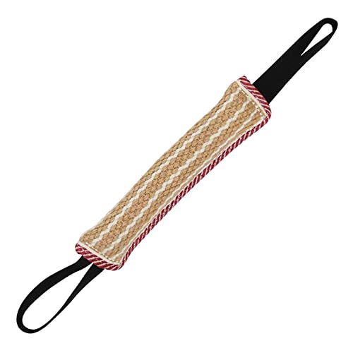 Fycakly The Dog's- -Sausage-Strengthens Training Dog Handle-Large Toy with 2 Pet Toys Quietschspielzeug Haustiere (Beige, One Size) von Fycakly