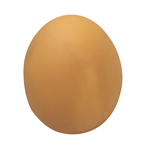 Fycakly Vinyl Soft Squeaky Interaktives Simulation Play Eggs Catch Squeaky Toys Eggs Dog Dog Pet Toys KratzbaumSpielzeug (A, One Size) von Fycakly