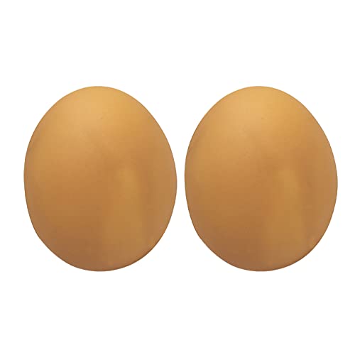 Fycakly Vinyl Soft Squeaky Interaktives Simulation Play Eggs Catch Squeaky Toys Eggs Dog Dog Pet Toys KratzbaumSpielzeug (B, One Size) von Fycakly
