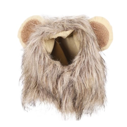 Fycakly Hunde Klamotten Halloween verwandelt Sich in Festival Haustier Hund Katze Hut verstellbare Hundebedarf Katzenkleidung Kleidung (C, One Size) von Fycakly
