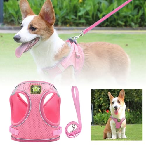 Hundekleidung Kleine Hunde Haustiergeschirr Reflektierende atmungsaktive Hundeleine Welpengeschirr Haustierbedarf Outdoor-Spieltraktion (A, L) von Fycakly
