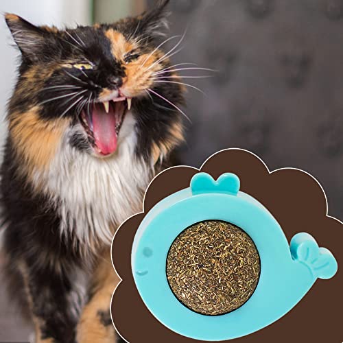 Katzenspielzeug für Katzen, selbstklebender Katzenwandball, drehbar, Spielbälle für Katzen, natürliches Katzenspielzeug zum Reinigen der Zähne Interaktives Haustierspielzeug (Light blue, One Size) Katzenspielzeug für Katzen, selbstklebender Katzenwandball, drehbar, Spielbälle für Katzen, natürliches Katzenspielzeug zum Reinigen der Zähne Interaktives Haustierspielzeug (Light blue, One Size) von Fycakly