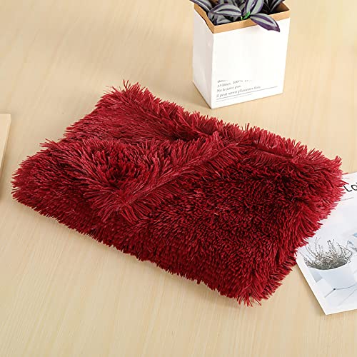 Welpe Hund Decke Hundedecke weiche Katzen Vlies Katzen waschbare Decke Welbheit für Tier Throw Matte ​​ Hundehütte für Garten wetterfest​​ (S) von Fycakly