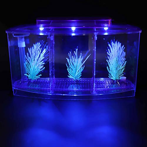 Aquarium-Aquarium, drei Abteilungen, Isolierung, Mini-Aquarium, komplettset, LED-Acryl-Box für kleine Fische (Lila) von Fydun