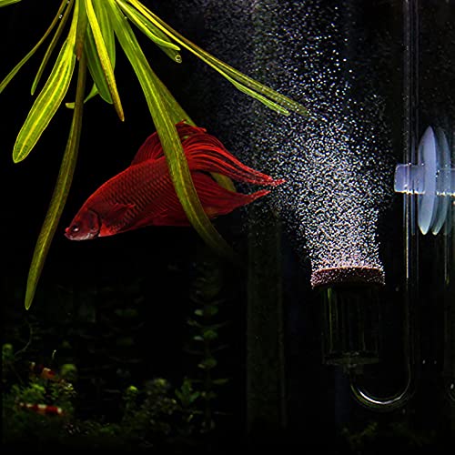 CO2-Diffusor für Aquarien, CO2, Acryl-Aquarium, Kohlendioxid, Transparenter Blasenzähler, Refiner für Fische, Wasserpflanzen, CO2-Zerstäuber, Diffusor (S) von Fydun