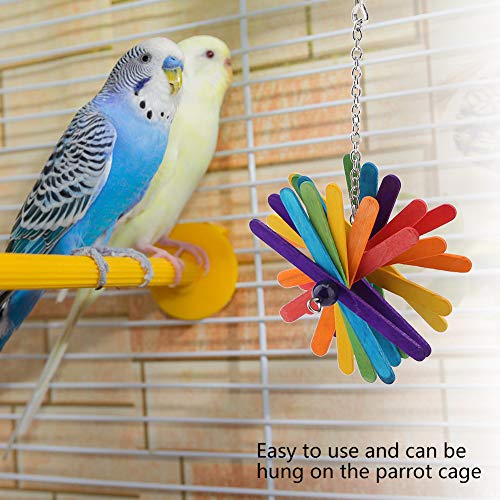 Fydun Haustier-Vogel-Ornamente, Papagei, Interaktiver Holzsittich, Kauzähne, Knirschstab, Ornamente für Familien Fydun Haustier-Vogel-Ornamente, Papagei, Interaktiver Holzsittich, Kauzähne, Knirschstab, Ornamente für Familien von Fydun