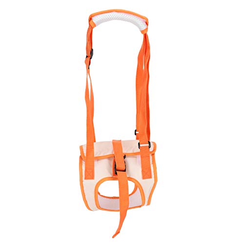Fydun Mesh Pet Dog Lift Harness Hinterbeinstützgürtel Hebehilfe für Behinderte Verletzungen ElderM für Familien (L) von Fydun