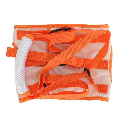 Fydun Mesh Pet Dog Lift Harness Hinterbeinstützgürtel Hebehilfe für Behinderte Verletzungen ElderM für Familien (M) von Fydun