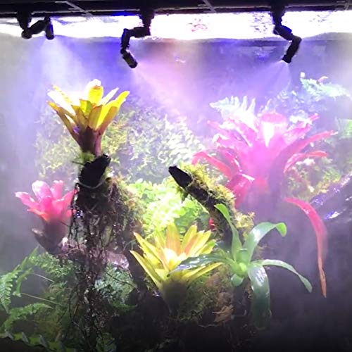 Fydun Mist King-Düsen, Nebel, Nebelsprinkler für Reptilien, Regenwald, 360-Grad-verstellbares Aquariumsystem, Anschluss 1/4 Wanne von Fydun