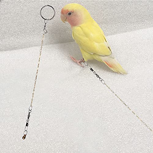 Less Steel Pet Birds Papageien-Fußkette, Fußkettchen, Trainingsgeschirr (Wird von Xuanfeng verwendet) von Fydun