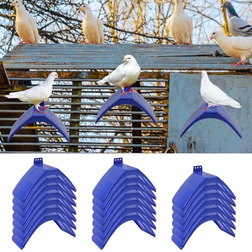 20 Stück Wellensittich Spielzeug 20×10×12cm Vogelspielzeug für Wellensittiche Bogendesign Plastik Wellensittich Zubehör Geeignet für Vögel zum Ausruhen und Unterhalten 20 Stück Wellensittich Spielzeug 20×10×12cm Vogelspielzeug für Wellensittiche Bogendesign Plastik Wellensittich Zubehör Geeignet für Vögel zum Ausruhen und Unterhalten von Fyeme