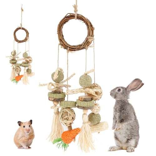 2 Stück Kaninchen Zubehör Kaninchen Spielzeug Beschäftigung Maiskolben Karottenform Meerschweinchen Spielzeug für Kleinnager Wie Hamster Meerschweinchen Chinchillas Kaninchen von Fyeme
