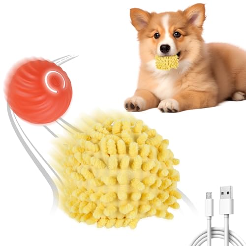 Hundeball Elektrisch mit Tennisabdeckung Interaktiver Spielball für Hunde Silikonmaterial 2 Modi Wiederaufladbar Intelligente Sensorik Magic Ball Hund Geeignet für Katzen Hunde Jeden Alters (Orange S) Hundeball Elektrisch mit Tennisabdeckung Interaktiver Spielball für Hunde Silikonmaterial 2 Modi Wiederaufladbar Intelligente Sensorik Magic Ball Hund Geeignet für Katzen Hunde Jeden Alters (Orange S) von Fyeme