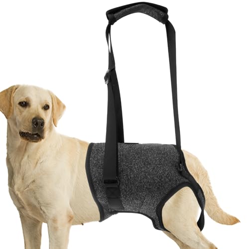 Tragehilfe Hund Tragbar Hinterbein Einstellbar Wanderer mit Griff Komfortabel Langlebig für Verletzung Behinderung Arthritis Hundebein Rehabilitationshilfe (XL) von Fyeme