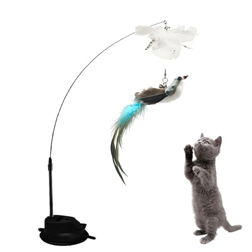 Fyfjur Cat toy, Cat Feather Toys, Interactive cat toy, Cat Teaser With Suction Cup, Cat Wand Toy, Detachable Suction Cup Feather Wand Cat Steel Wire Feather Bird Toys for Indoor Cats Kitten Toys Fyfjur Cat toy, Cat Feather Toys, Interactive cat toy, Cat Teaser With Suction Cup, Cat Wand Toy, Detachable Suction Cup Feather Wand Cat Steel Wire Feather Bird Toys for Indoor Cats Kitten Toys von Fyfjur